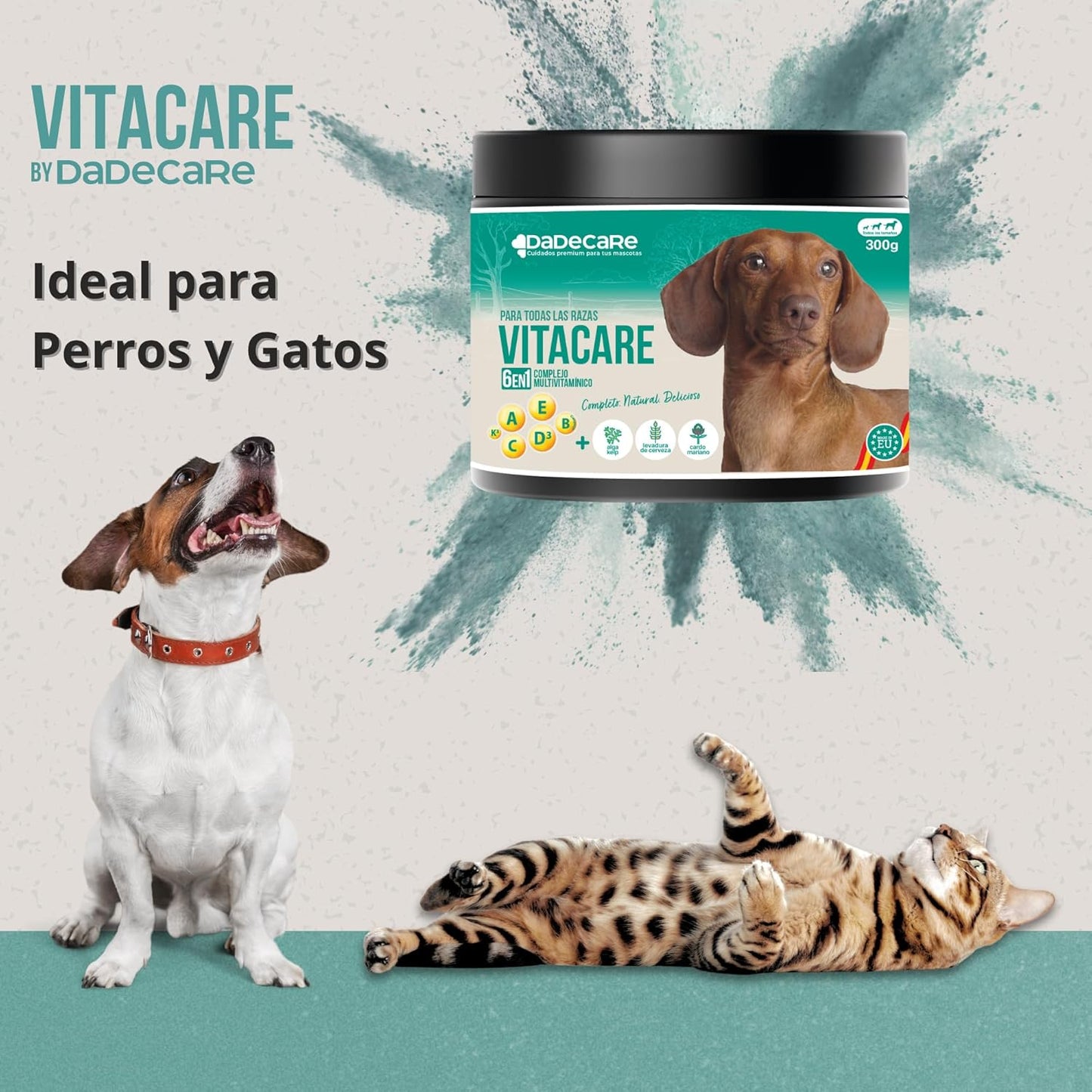 Vitacare – Suplemento multivitamínico 300g