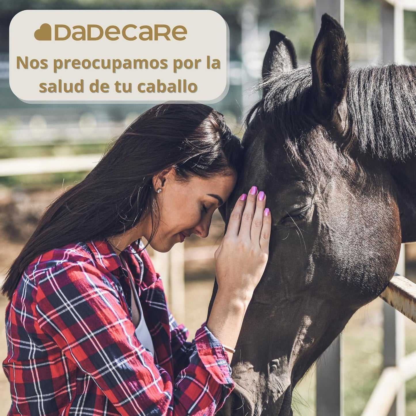 Skingcare Dermatological Supplement for Horses | Omega 3 6 9 with Flaxseed, Cameline, Sunflower and Salmon | Nutritional Support for Dry Skin and Coat
