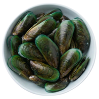 Mejillón verde