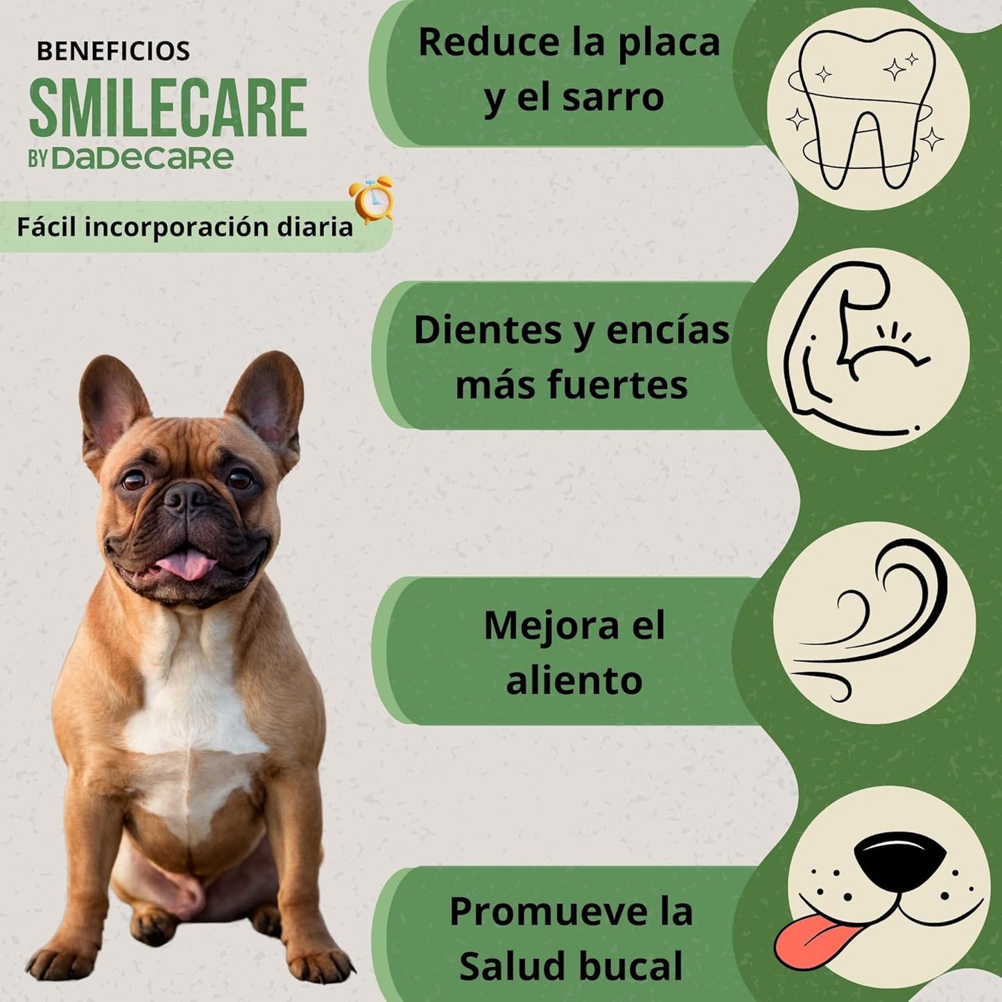 Smilecare – Powders for Bad Breath 220g Kelp – Natural Alternative Toothpaste for Dogs and Cats, Improves Breath, Reduces Tartar, Prevention Dental Problems – No Daily Brushing