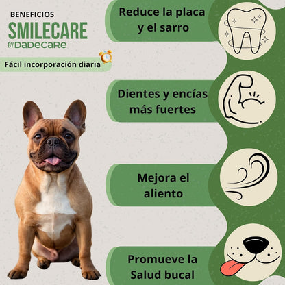 Smilecare – Powders for Bad Breath 220g Kelp – Natural Alternative Toothpaste for Dogs and Cats, Improves Breath, Reduces Tartar, Prevention Dental Problems – No Daily Brushing