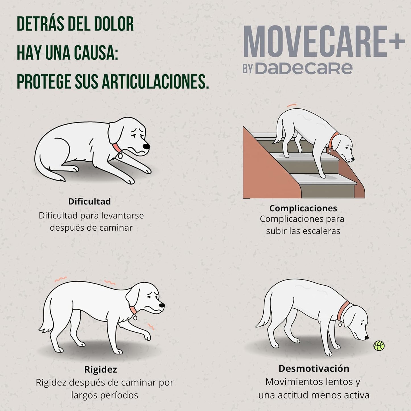 Movecare + Condroprotector Perros 300g
