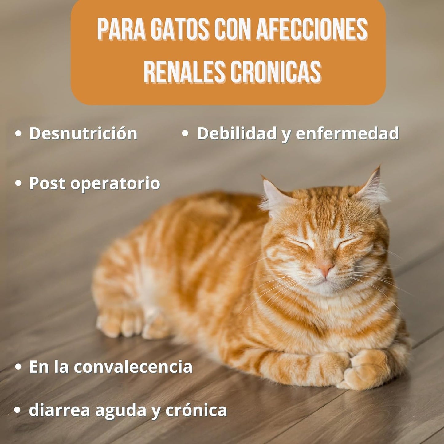Renalcare - Suplemento Renal Líquido 250ml