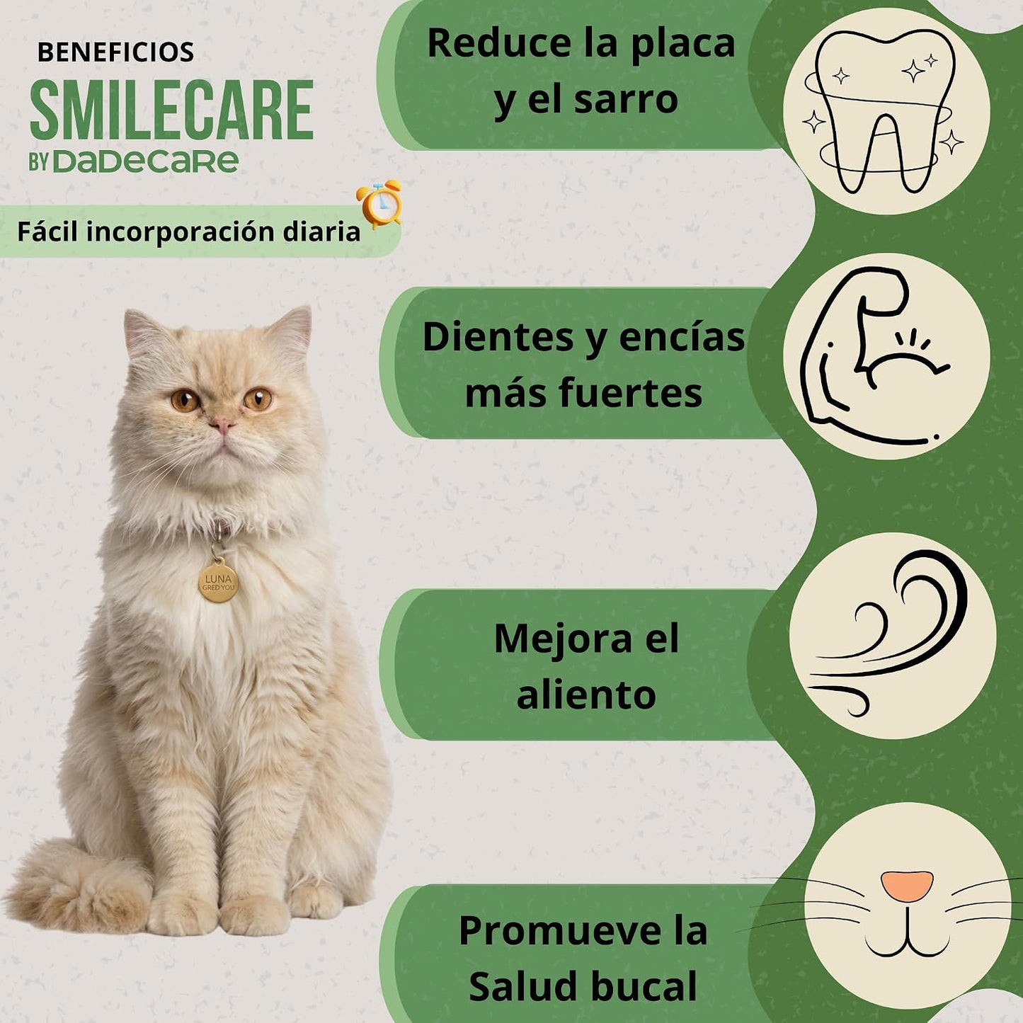 Smilecare Polvo Dental para Gatos 220g