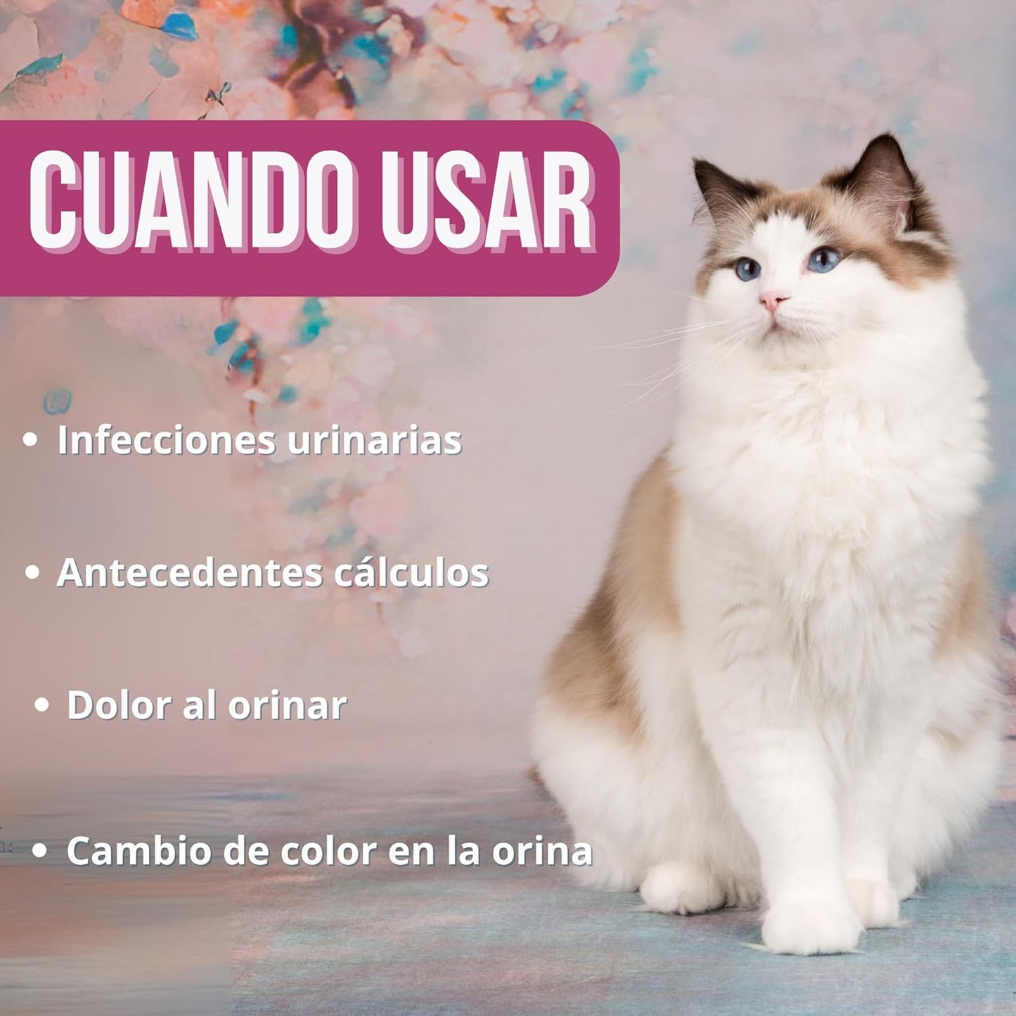 Urocare - Suplemento Urinario 220gr