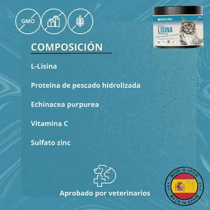 Lisina - 300g