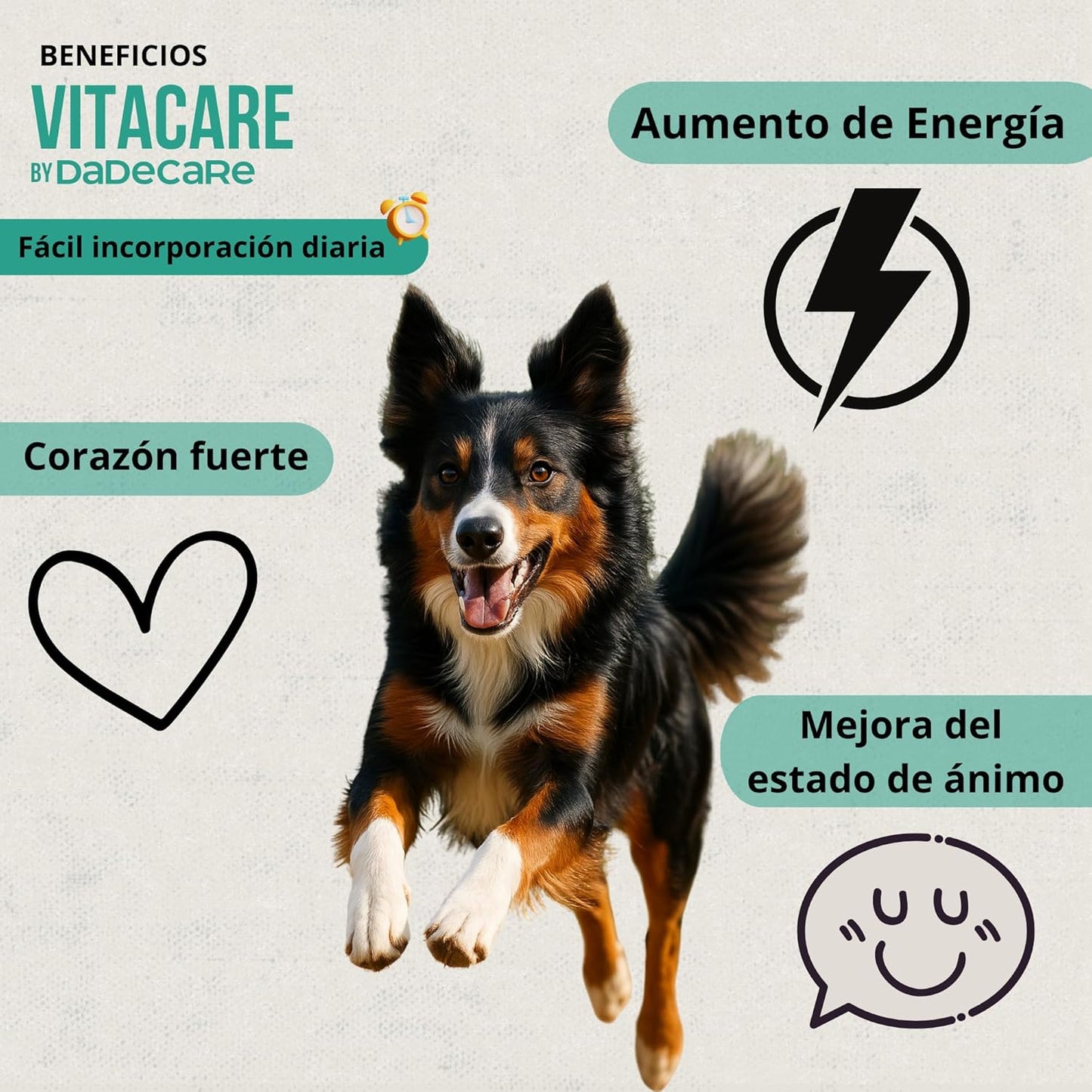 Vitacare – Suplemento multivitamínico 300g
