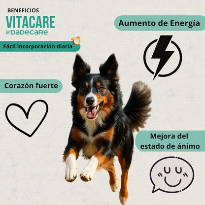 Vitacare – Suplemento multivitamínico 300g