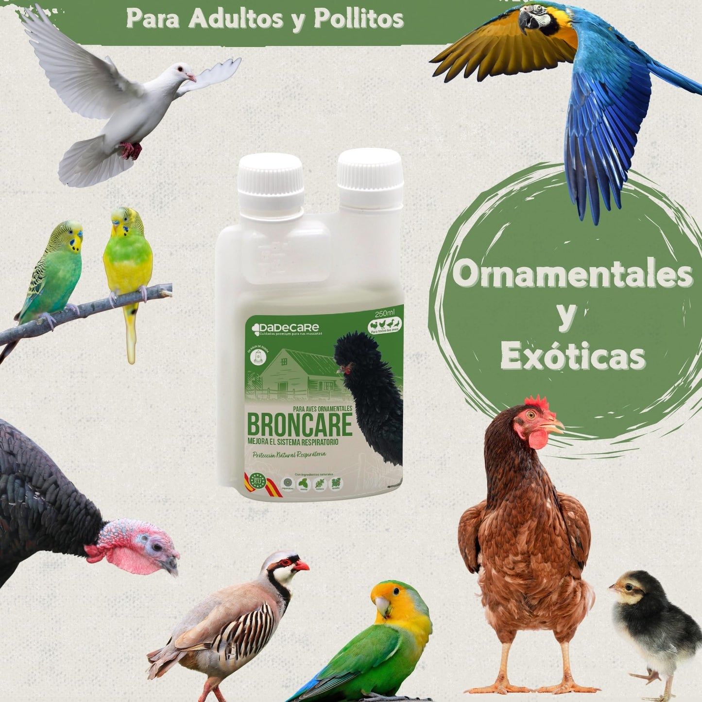 Broncare Respiratorio con Vitaminas