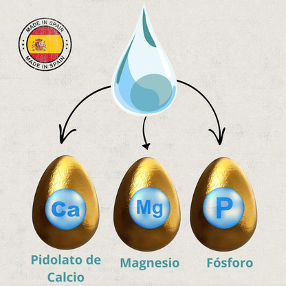 Eggcare - Calcio para Aves 1L