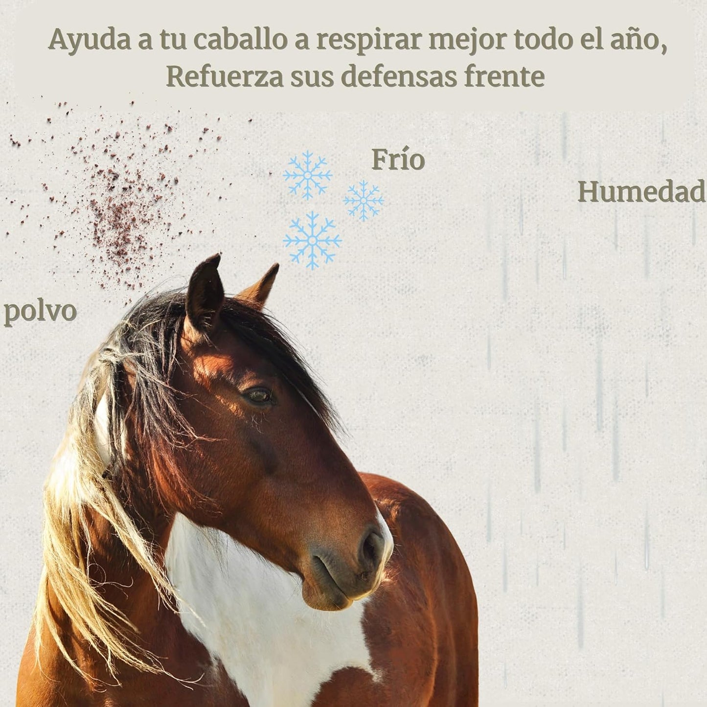 Broncare - Respiratory Horses 1L - Extracts of Mint, Eucalyptus, Thyme and Herbs - Immune Support and Lung Wellness - Ideal in Environments with Dust, Heat or Stress
