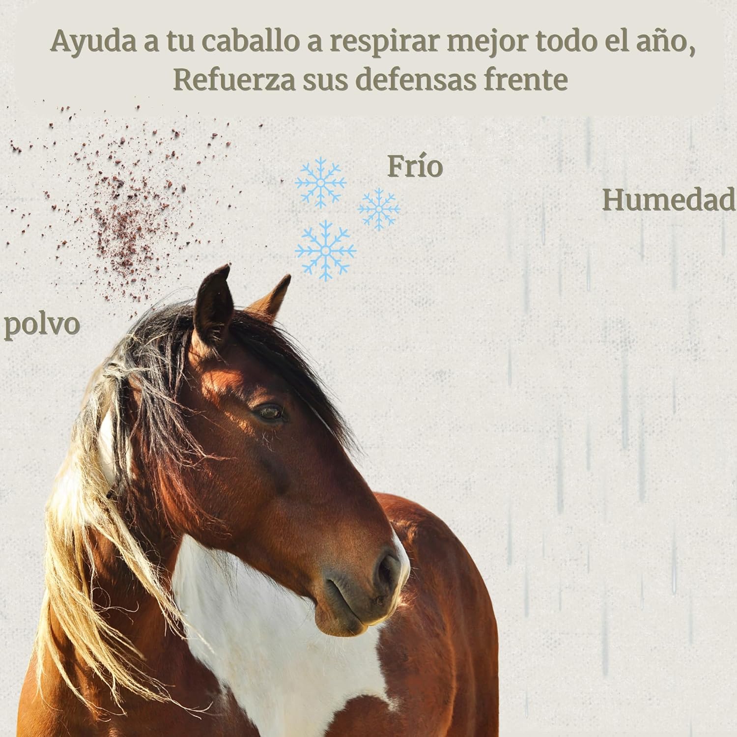 Broncare - Respiratory Horses 1L - Extracts of Mint, Eucalyptus, Thyme and Herbs - Immune Support and Lung Wellness - Ideal in Environments with Dust, Heat or Stress