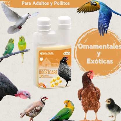 Boostcare - Multivitamínico 6 en 1 250ml Aves | Vitaminas A-E-D-C-B|