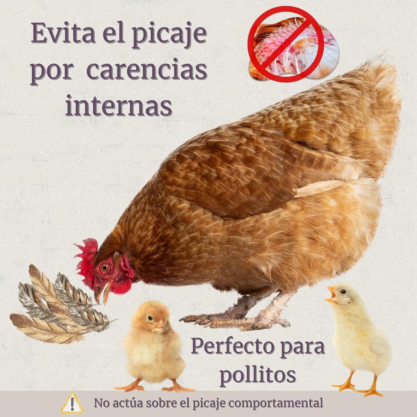 Federpicare - Suplemento para Picaje y Canibalismo en Gallinas y en Aves 500g