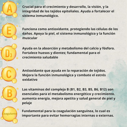 Vitacare – Suplemento multivitamínico 300g