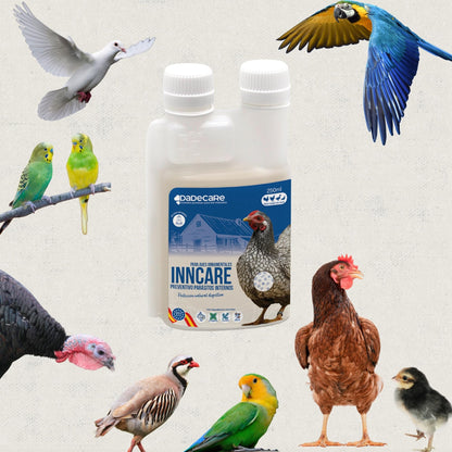 Inncare Preventivo Parasitos Internos Natural