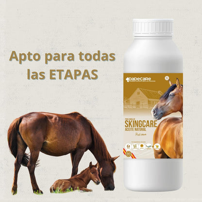 Skingcare Dermatological Supplement for Horses | Omega 3 6 9 with Flaxseed, Cameline, Sunflower and Salmon | Nutritional Support for Dry Skin and Coat