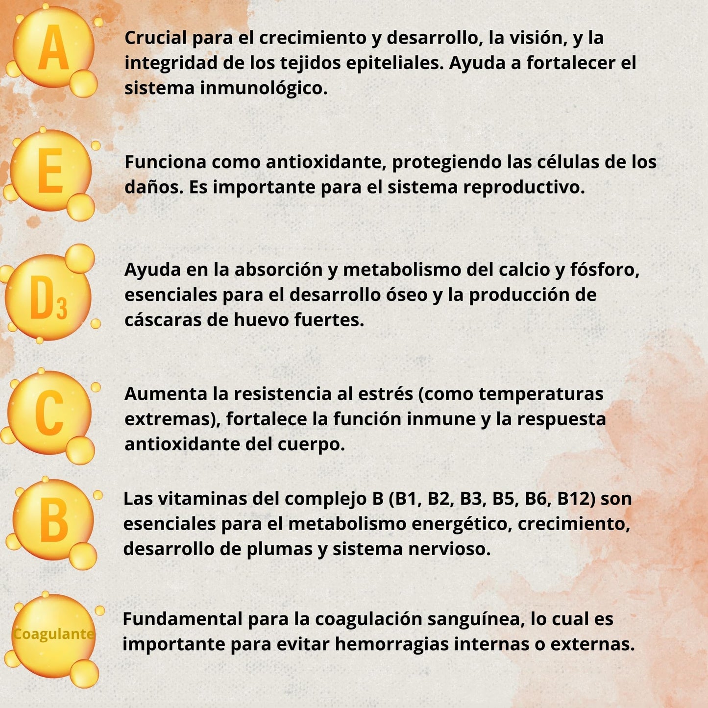 Boostcare - Multivitamínico 6 en 1 250ml Aves | Vitaminas A-E-D-C-B|
