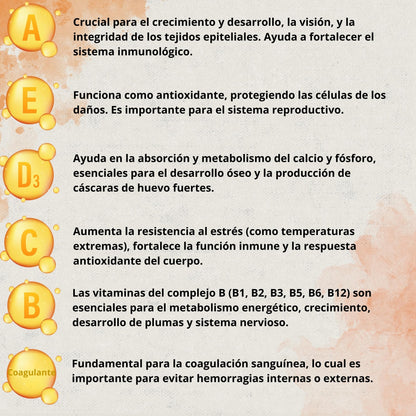 Boostcare - Multivitamínico 6 en 1 250ml Aves | Vitaminas A-E-D-C-B|