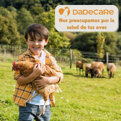 Boostcare - Multivitamínico 6 en 1 250ml Aves | Vitaminas A-E-D-C-B|