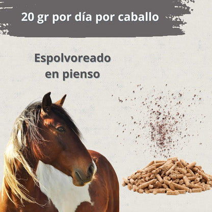 Hoofcare - Biotina y Zinc para Cascos Caballo 750g