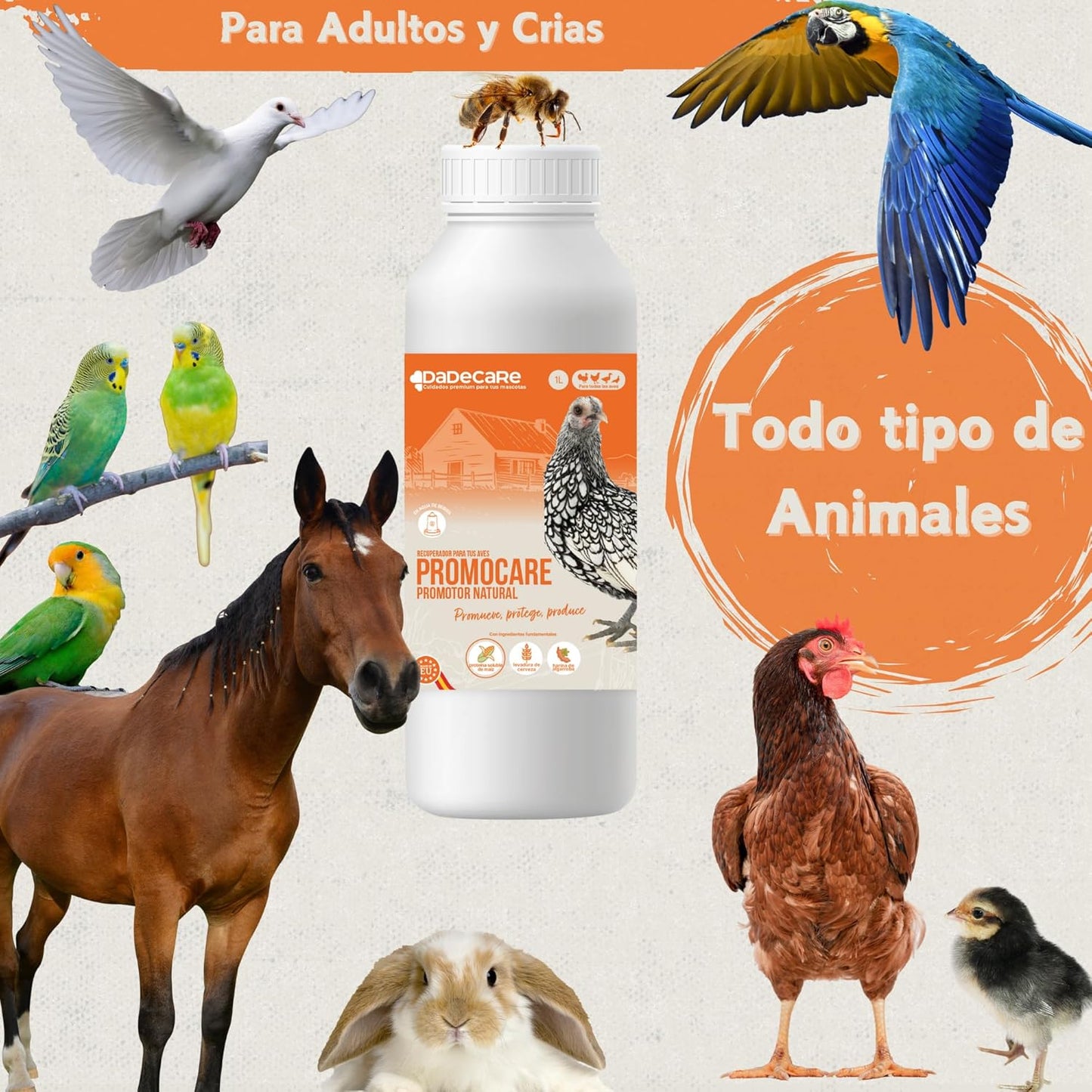 Promocare – Promotor Multivitamínico 1L