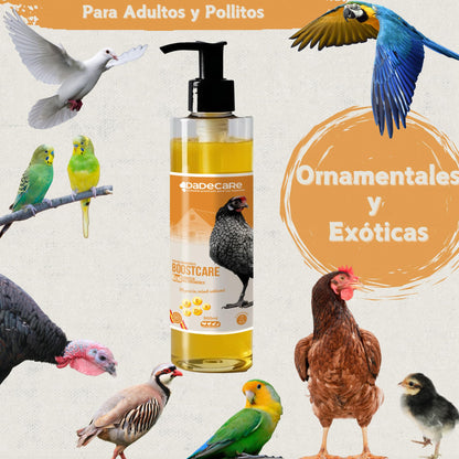 Boostcare - Multivitamínico 6 en 1 250ml Aves | Vitaminas A-E-D-C-B|