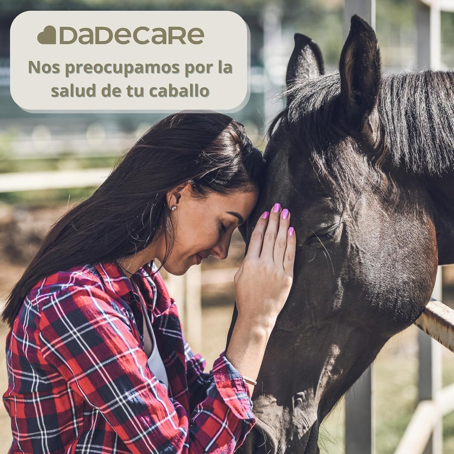 Broncare - Respiratory Horses 1L - Extracts of Mint, Eucalyptus, Thyme and Herbs - Immune Support and Lung Wellness - Ideal in Environments with Dust, Heat or Stress