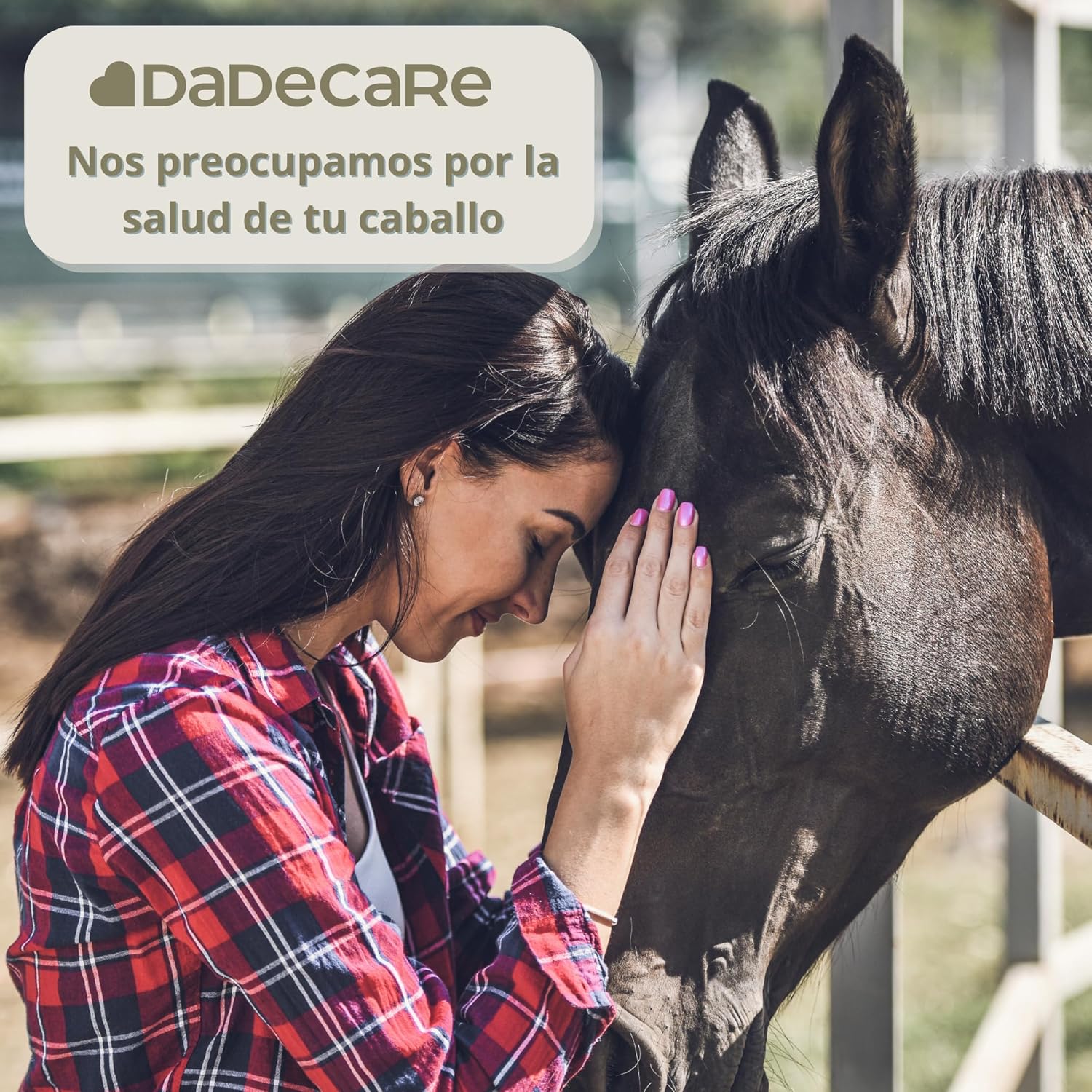 Broncare - Respiratory Horses 1L - Extracts of Mint, Eucalyptus, Thyme and Herbs - Immune Support and Lung Wellness - Ideal in Environments with Dust, Heat or Stress