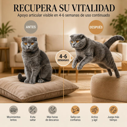 Jumpcare - Condroprotector Gatos en Polvo 220g
