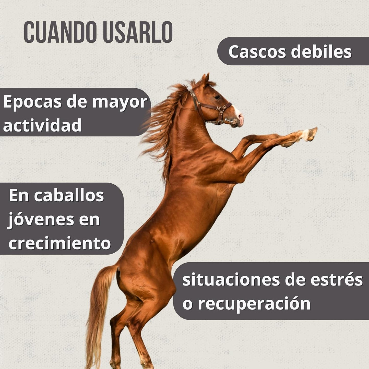Hoofcare - Biotina y Zinc para Cascos Caballo 750g