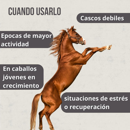 Hoofcare - Biotina y Zinc para Cascos Caballo 750g