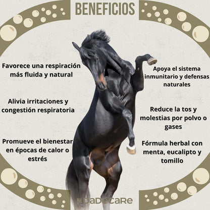 Broncare - Respiratory Horses 1L - Extracts of Mint, Eucalyptus, Thyme and Herbs - Immune Support and Lung Wellness - Ideal in Environments with Dust, Heat or Stress