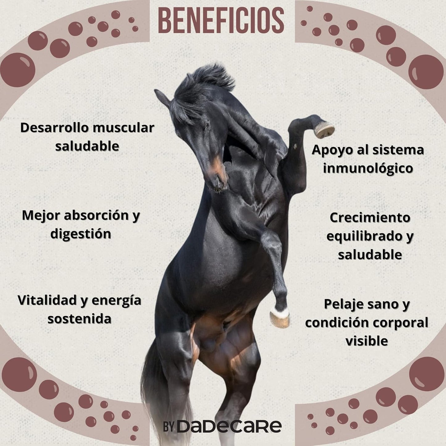Promocare - Vitaminas Caballos 1L