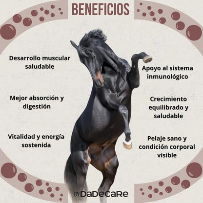 Promocare - Vitaminas Caballos 1L