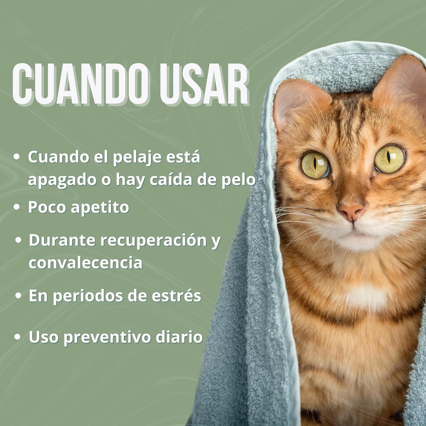 Inmucare Vitamínico Polvo Gatos 300 gr para estimular el apetito,