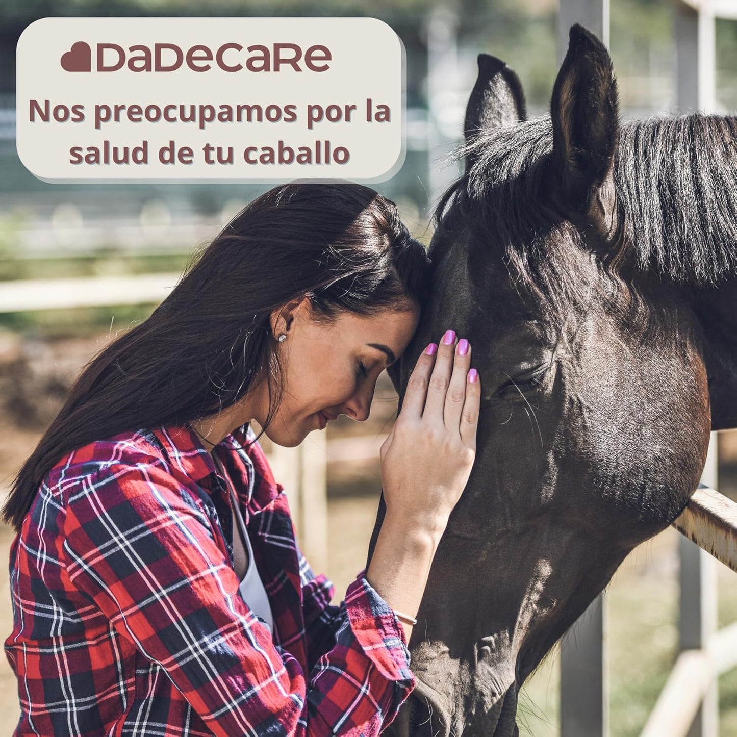 Promocare - Vitaminas Caballos 1L