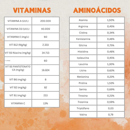 Promocare – Promotor Multivitamínico 1L