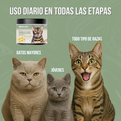Inmucare Vitamínico Polvo Gatos 300 gr para estimular el apetito,