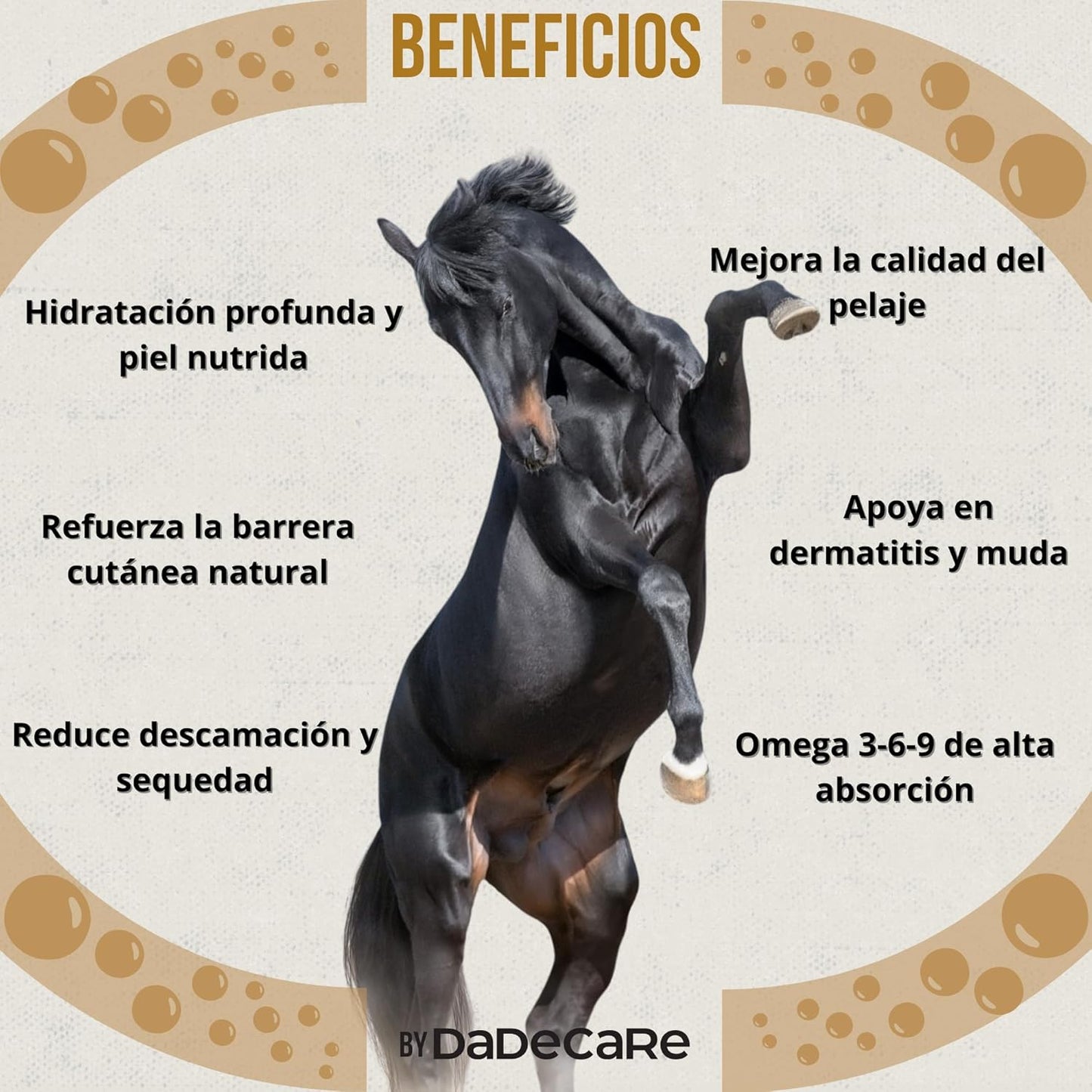 Skingcare Dermatological Supplement for Horses | Omega 3 6 9 with Flaxseed, Cameline, Sunflower and Salmon | Nutritional Support for Dry Skin and Coat