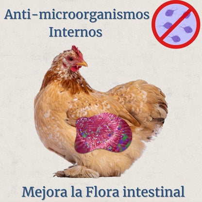 Inncare Preventivo Parasitos Internos Natural