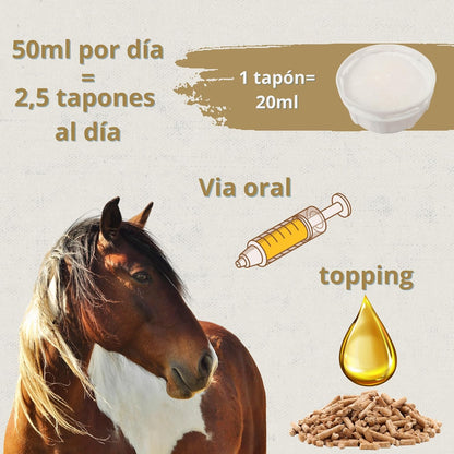 Skingcare Dermatological Supplement for Horses | Omega 3 6 9 with Flaxseed, Cameline, Sunflower and Salmon | Nutritional Support for Dry Skin and Coat