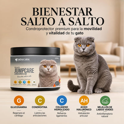 Jumpcare - Condroprotector Gatos en Polvo 220g