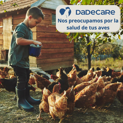 Inncare Preventivo Parasitos Internos Natural