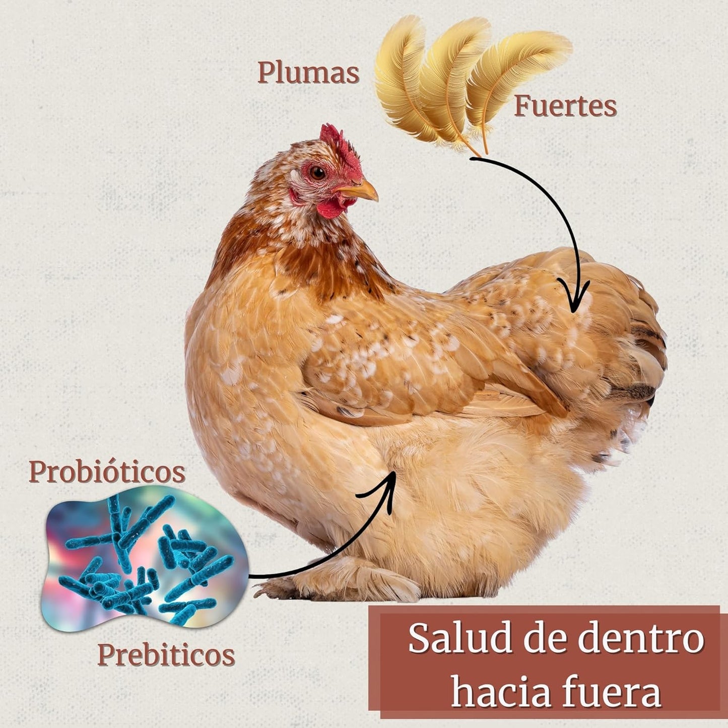 Proavicare - Levadura de Cerveza 1,5kg con Pro y Pre bióticos