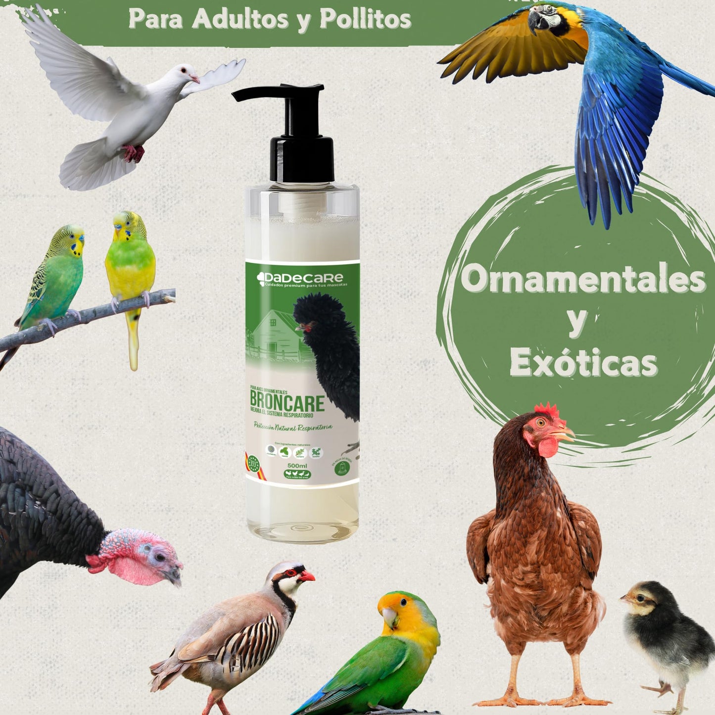 Broncare Respiratorio con Vitaminas