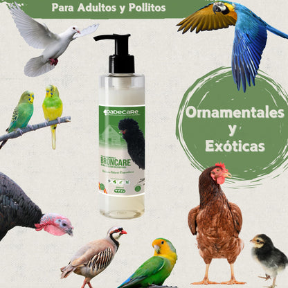 Broncare Respiratorio con Vitaminas