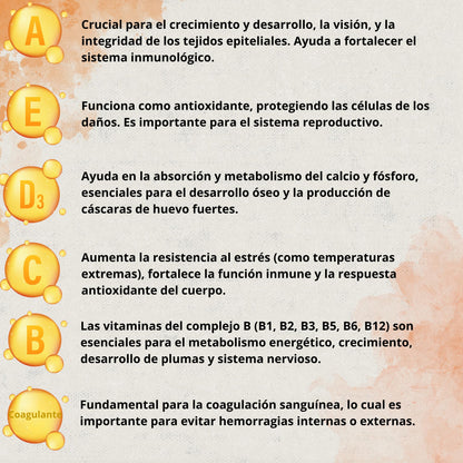 Boostcare - Multivitamínico 6 en 1 250ml Aves | Vitaminas A-E-D-C-B|