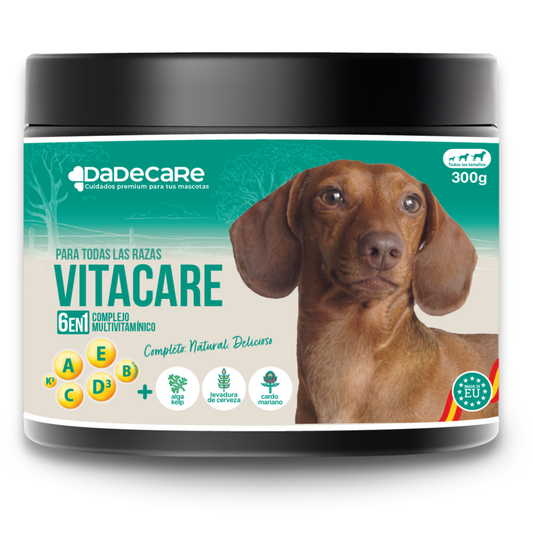 Vitacare – Suplemento multivitamínico 300g