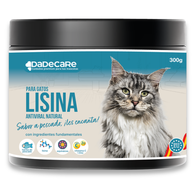 Lisina - 300g